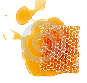 Beeswax honeycomb piece of liquid yellow natural honey isolated on white background