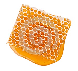 Beeswax honeycomb piece of liquid yellow natural honey isolated on white background