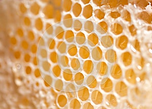 Beeswax