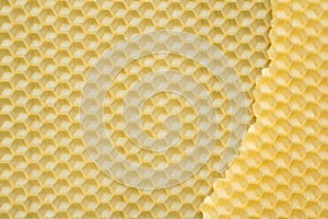 Beeswax texture. Honeycombs bee background. Wax base for honey bee rebuilding