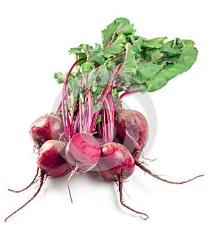 Beet, beetroot bunch on dark background, copy space