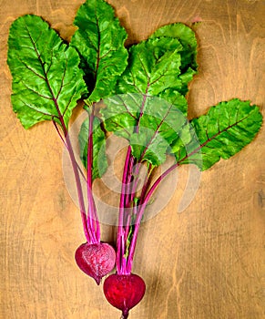 Beet, beetroot bunch on wooden background. Copy space.