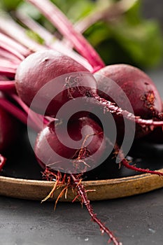 Beet, beetroot bunch on wooden plate on grey stone background. Copy space. .