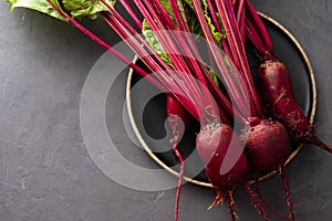 Beet, beetroot bunch on wooden plate on grey stone background. Copy space. .