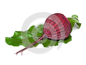 Beet with green leaf