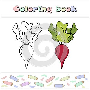 Beet. A page of a coloring book with a colorful vegetables and a sketch for coloring