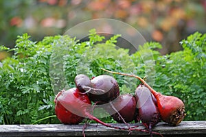 Beet root vegetables, washed for further processing