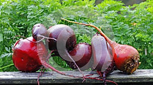 Beet root vegetables, washed for further processing