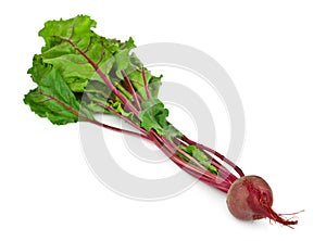 Beet root on white