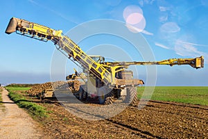 beet swallower picking up beets to load them into a dump truck