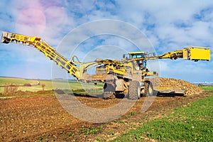 beet swallower picking up beets to load them into a dump truck