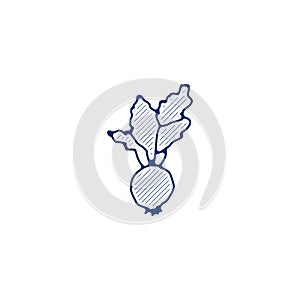 beet thin line icon. beet hand drawn pen style icon