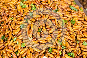 Beetle Bug fried Asian Insect Snack food, High Protein food