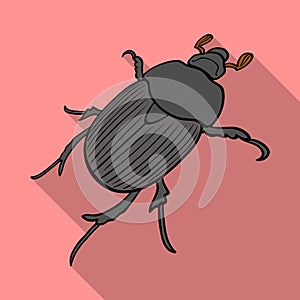 Beetle is a coleopterous insect.Arthropods insect, beetle single icon in flat style vector symbol stock isometric