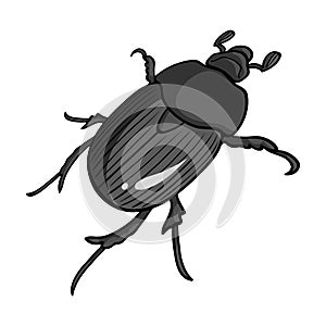 Beetle is a coleopterous insect.Arthropods insect, beetle single icon in monochrome style vector symbol stock isometric