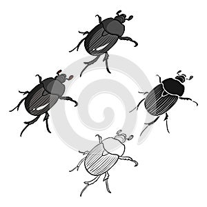 Beetle is a coleopterous insect.Arthropods insect, beetle single icon in cartoon,black style vector symbol stock