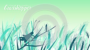 Beetle grasshopper sits on a blade of grass in the bushes illustration. Life of insects in the wild illustration. Beauty macro