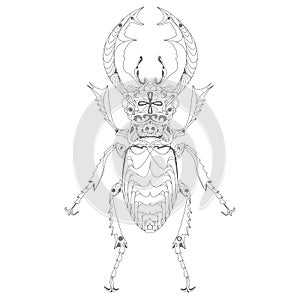 Beetle. Hand drawn sketch.