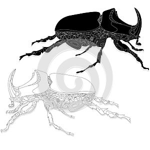 Beetle. Hand drawn sketch.