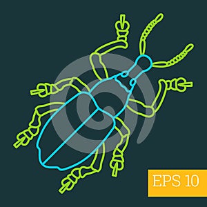 Beetle insect outline