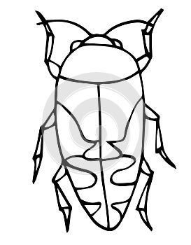 Beetle, insect outline vector, icon. Easy Coloring book for kids. Exotic bug collection.hand drawn doodle style, Isolated on white