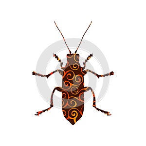 Beetle insect spiral pattern color silhouette animal.
