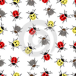 Beetle ladybug seamless pattern, insects vector background. Red and yellow speckled bugs striped on a white . For fabric design,