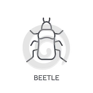 Beetle linear icon. Modern outline Beetle logo concept on white