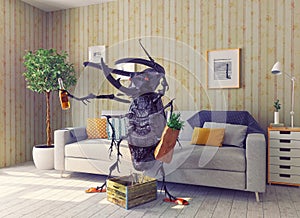The beetle in the living room
