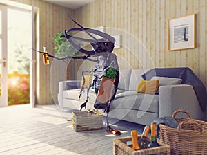 The beetle in the living room