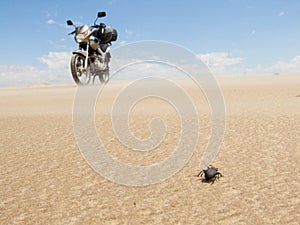 Beetle and motorcycle photo