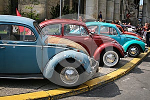 The beetle owners gathering