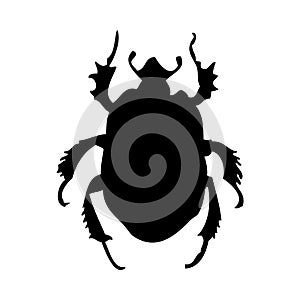 Beetle Silhouette