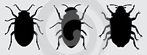 Beetle Silhouette Vector Set. Various beetles silhouette vector design