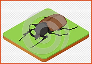 Beetle vector eps