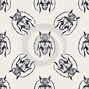 Beetle vintage seamless pattern