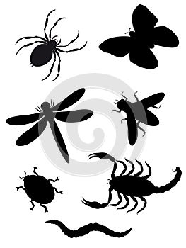 Beetles and insects silhouette photo