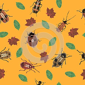 Beetles and Leaves on orange Background