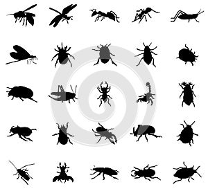 Beetles silhouettes set