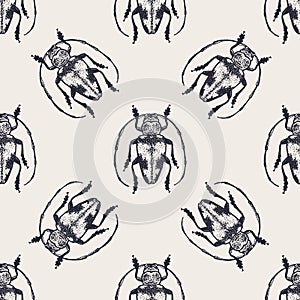 Beetles vintage seamless pattern