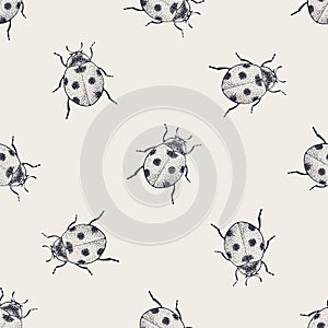 Beetles vintage seamless pattern