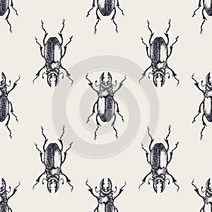 Beetles vintage seamless pattern