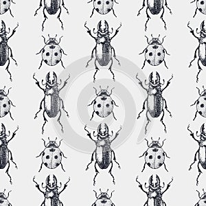 Beetles vintage seamless pattern