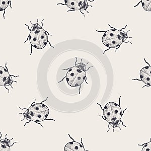 Beetles vintage seamless pattern photo