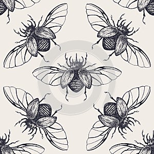 Beetles with wings vintage seamless pattern
