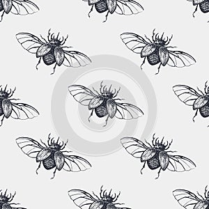 Beetles with wings vintage seamless pattern