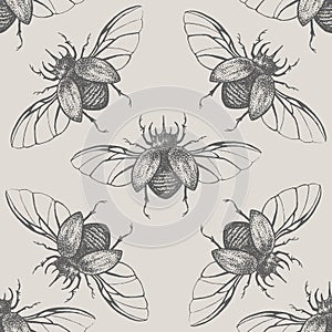 Beetles with wings vintage seamless pattern