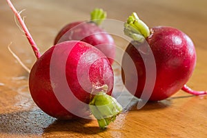 Beetroot