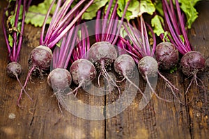 Beetroot