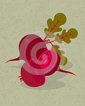 Beetroot and halves of beetroot illustration. Red beetroot, leaves and flowers on shabby background.